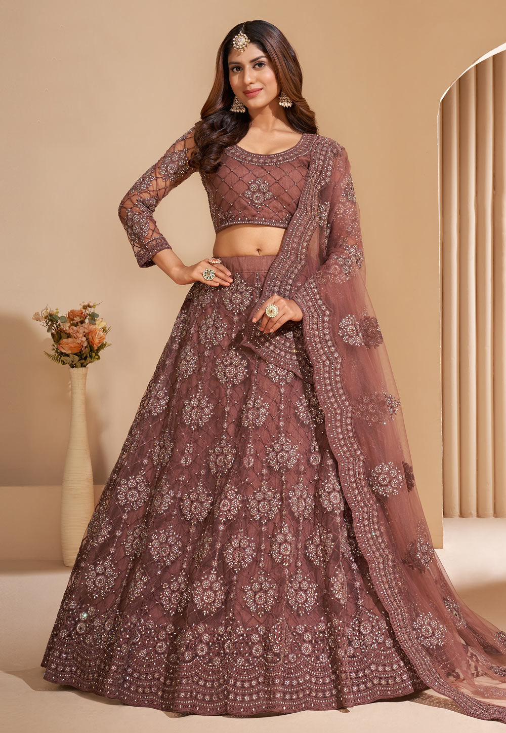 Brown Net Circular Lehenga Choli 242279