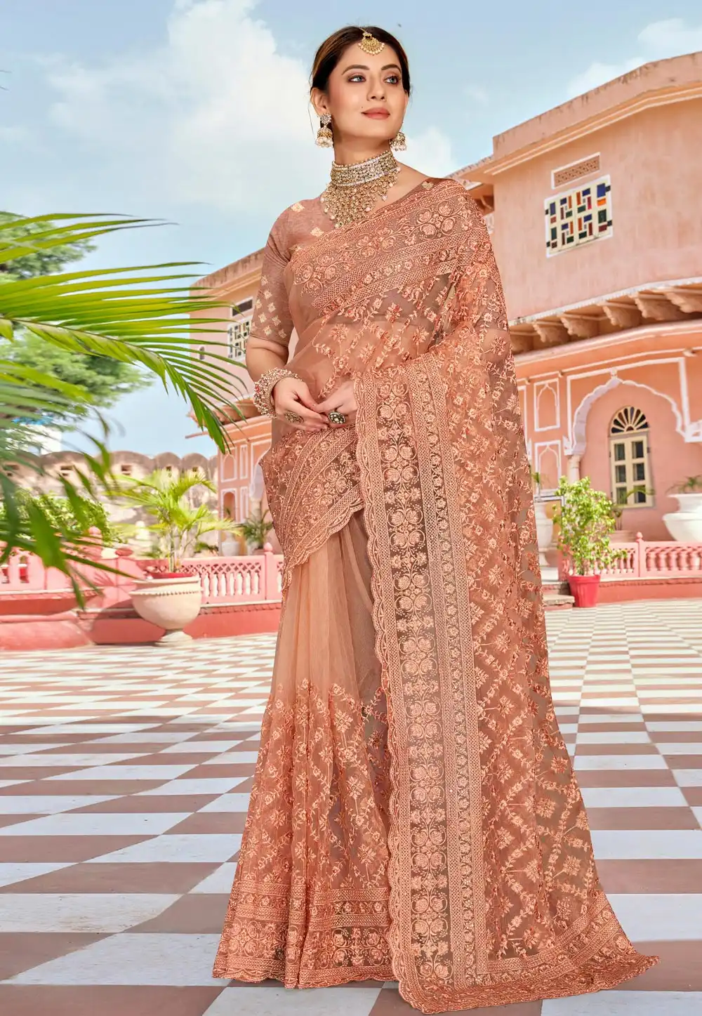 Peach Net Saree With Blouse 250351