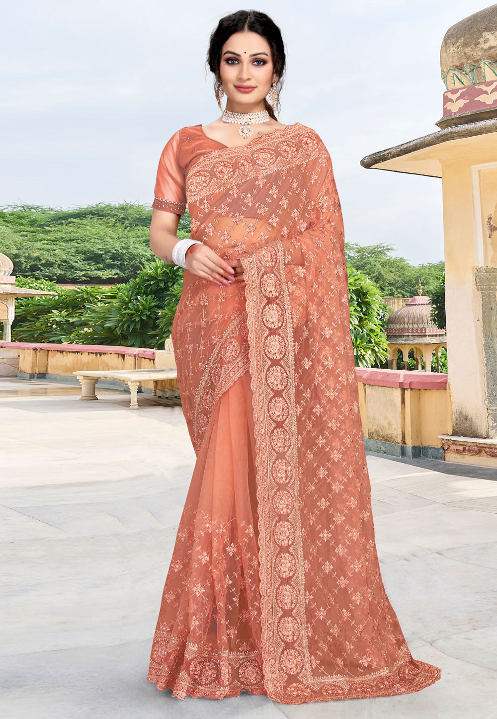 Peach Net Saree With Blouse 256934