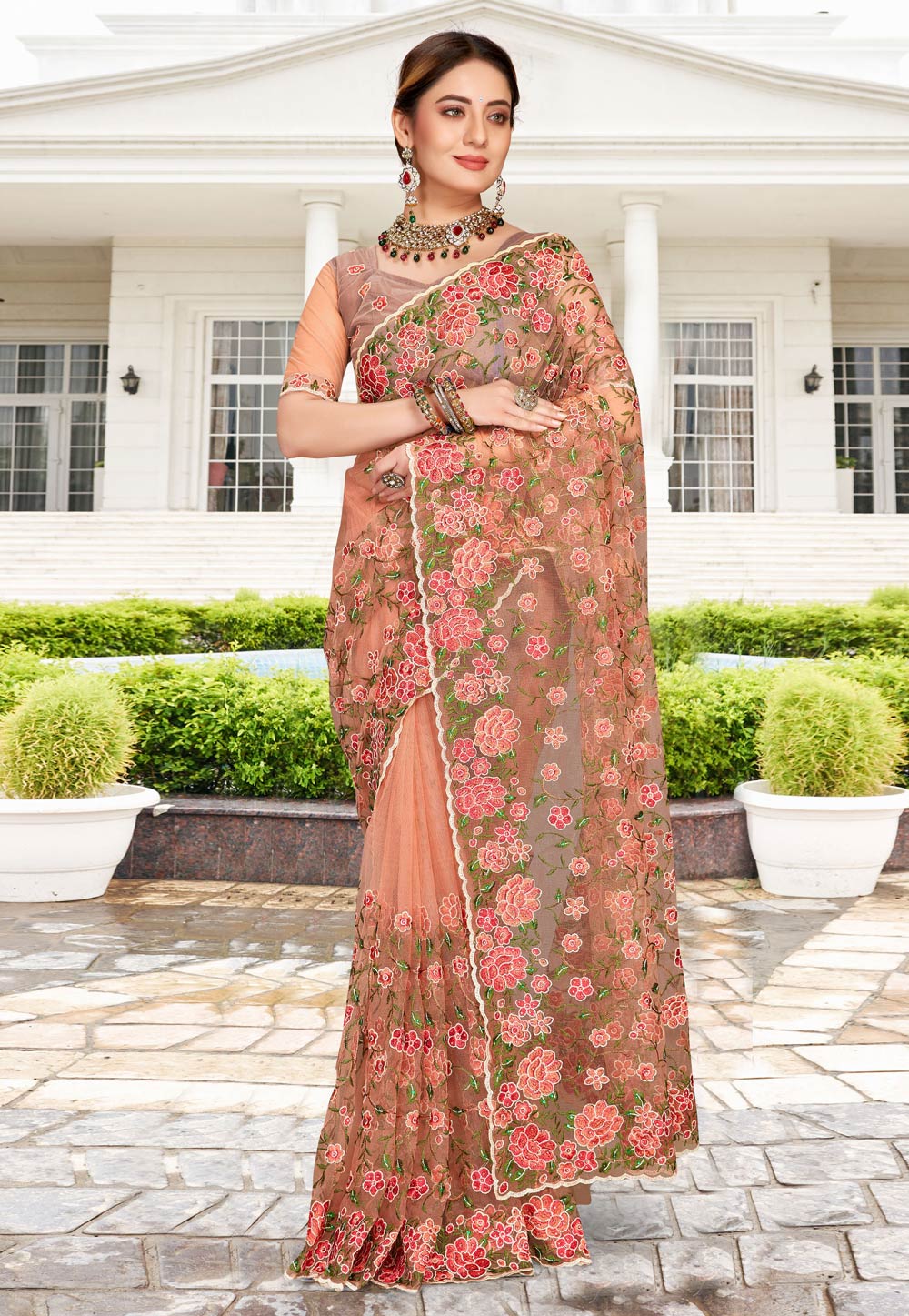 Peach Net Saree With Blouse 257739