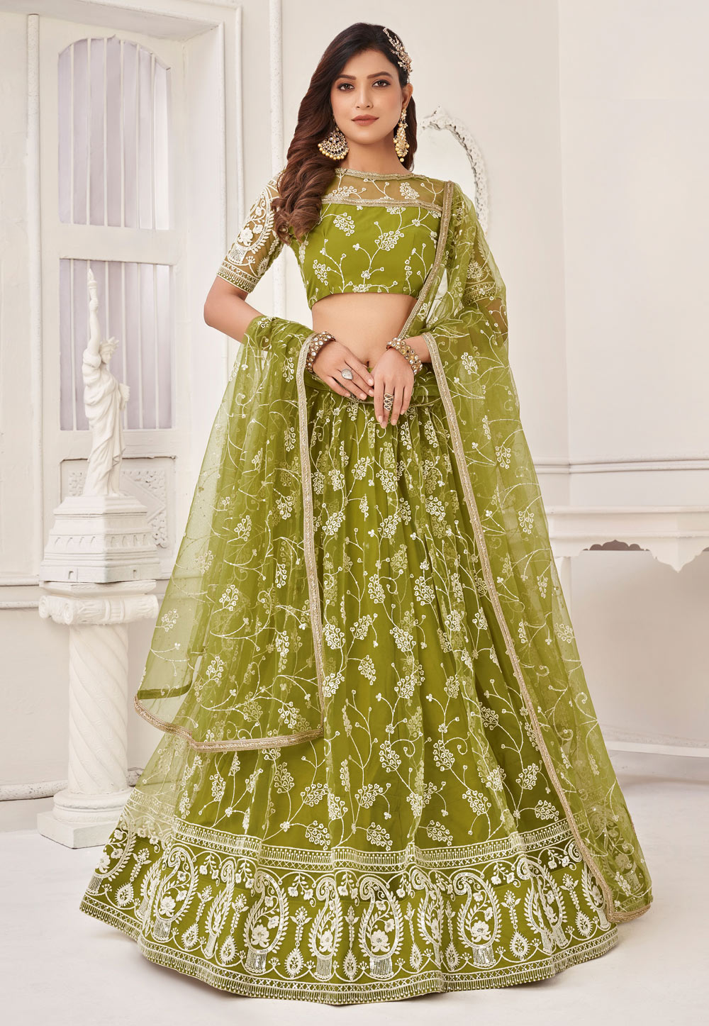 Light Green Net Circular Lehenga Choli 268699
