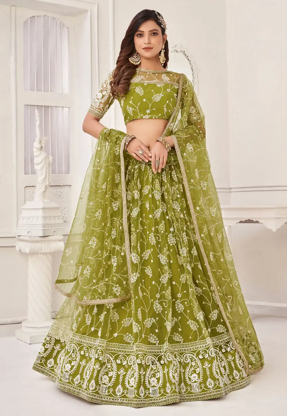 Light Green Net Circular Lehenga Choli 268699