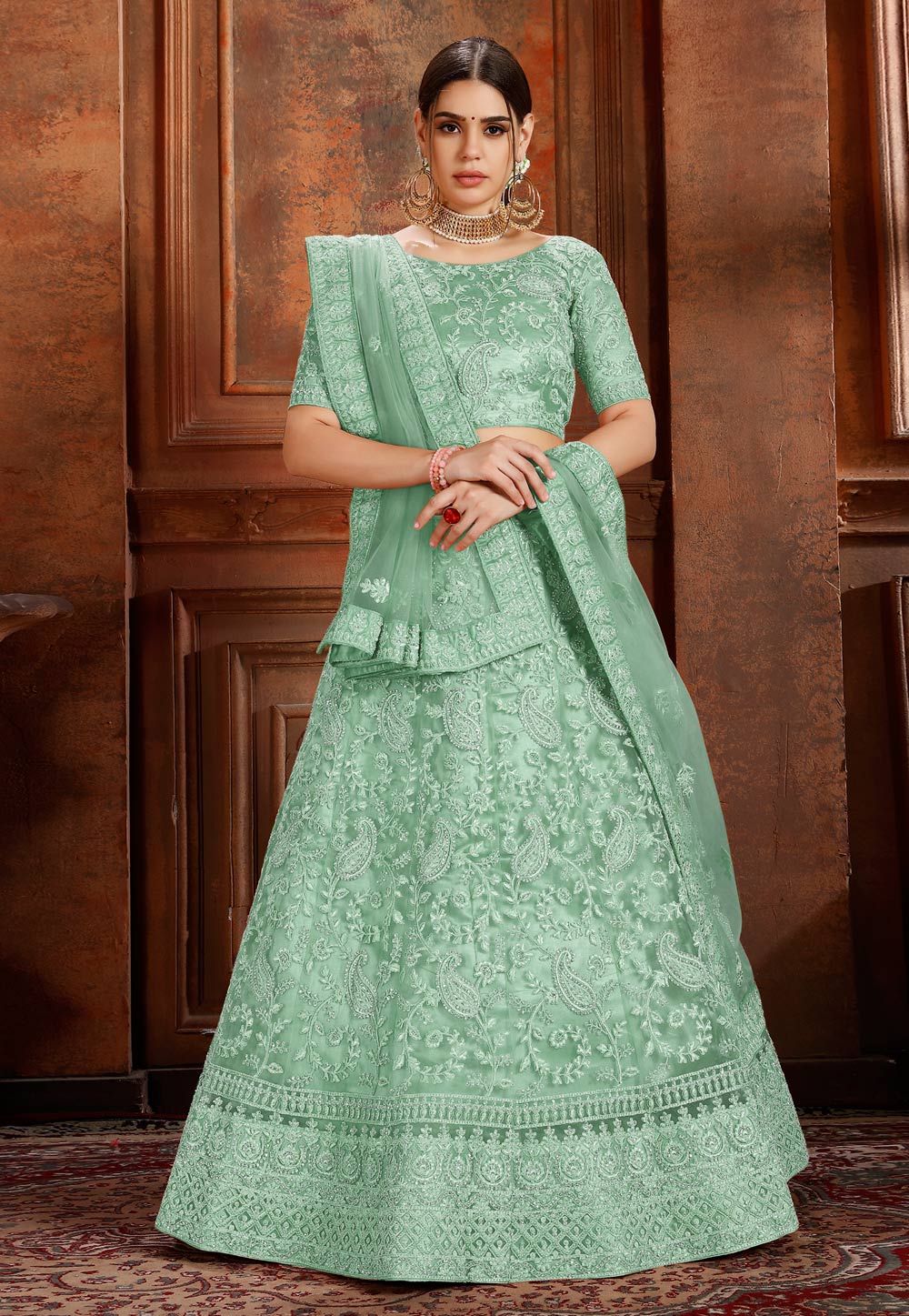 Light Green Net Circular Lehenga Choli 193217