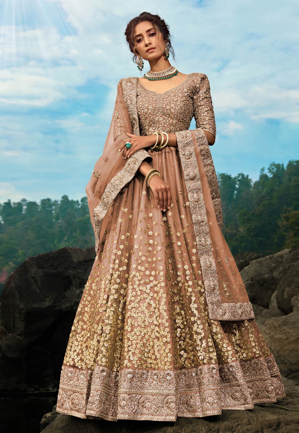 Brown Net Circular Lehenga Choli 206773
