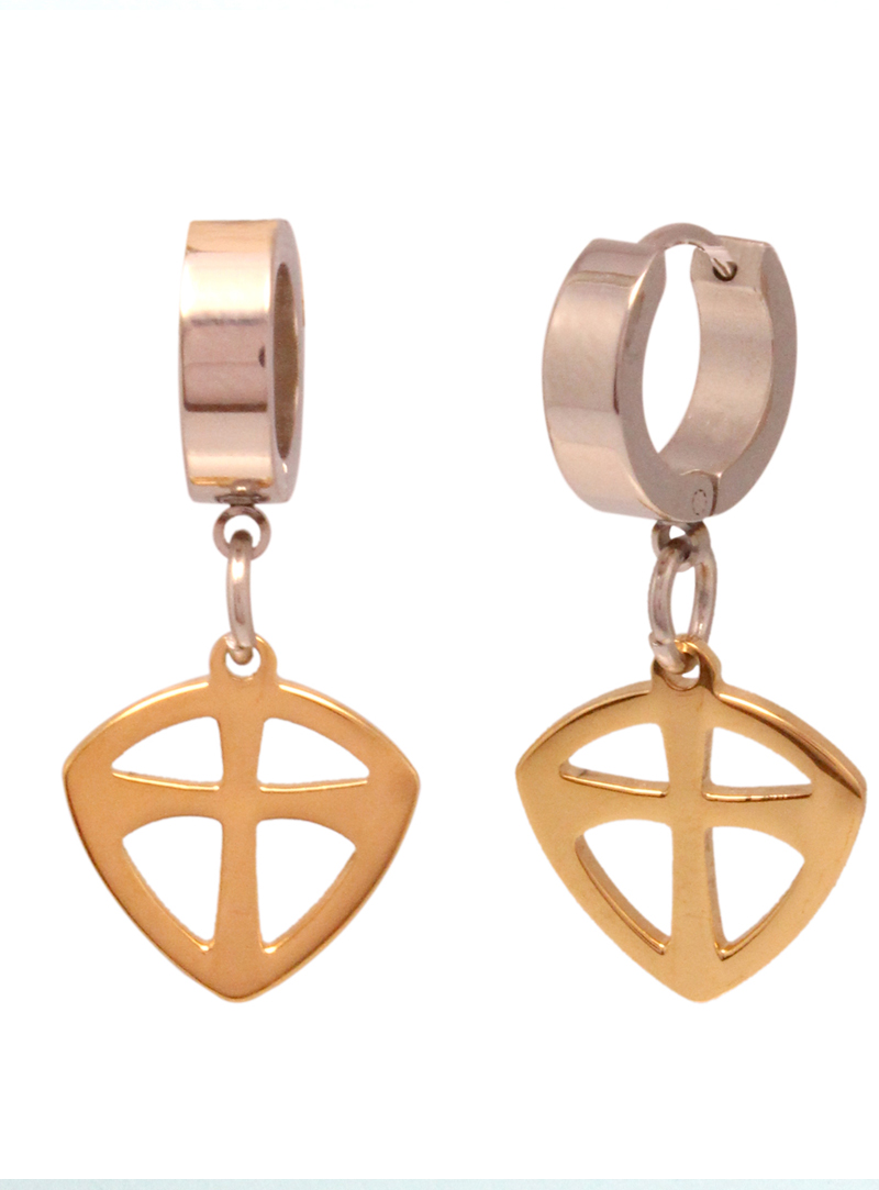 Golden Steel Earrings 102475