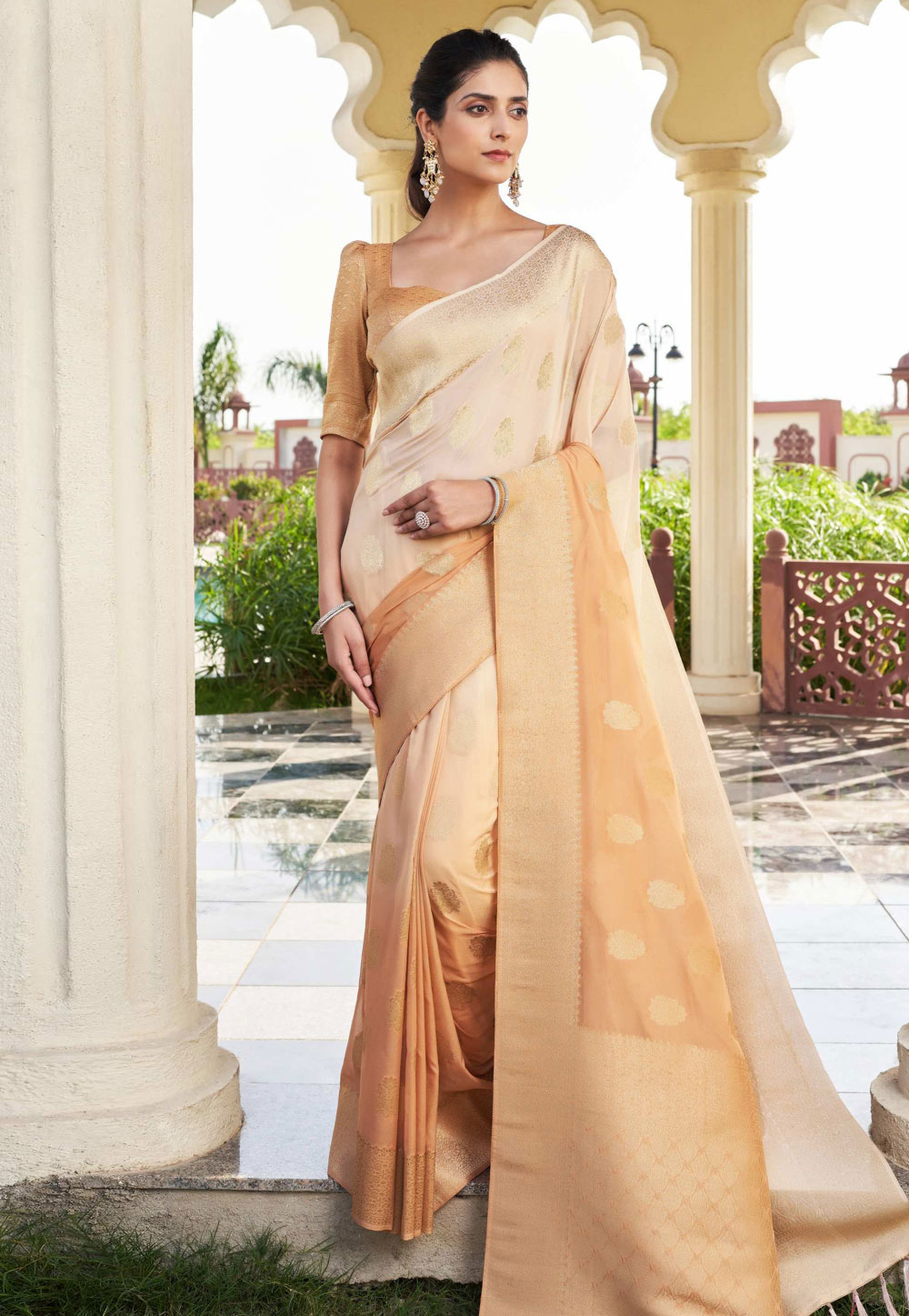 Beige Georgette Saree With Blouse 322651