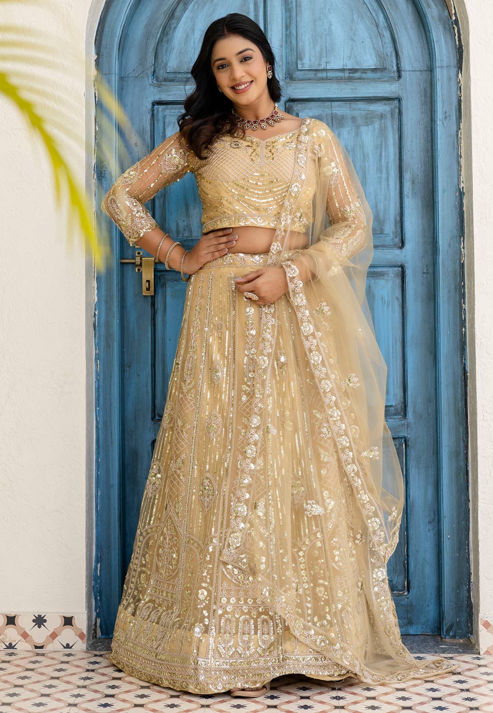 Beige Net Lehenga Choli 323002