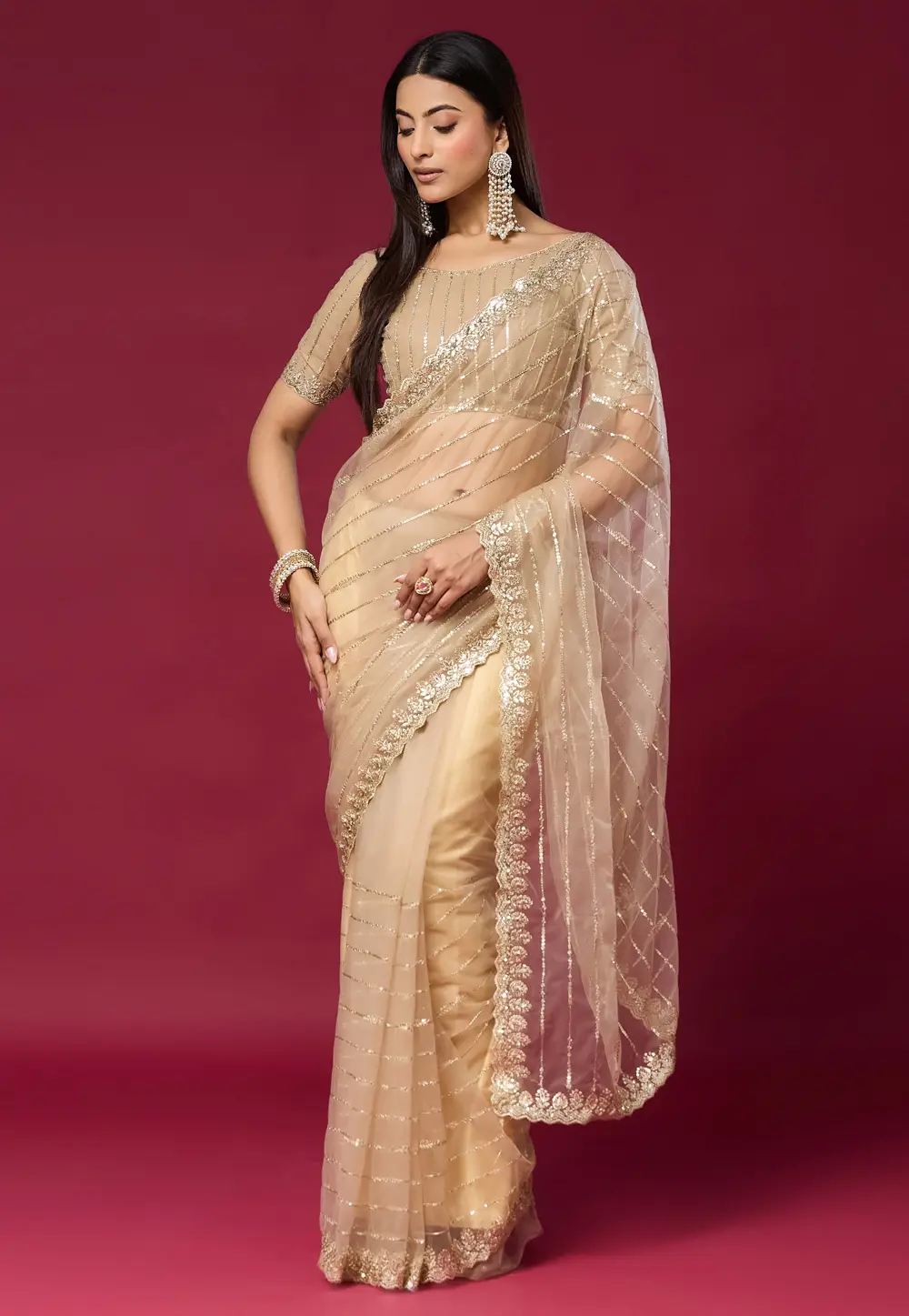 Beige Net Saree With Blouse 336308