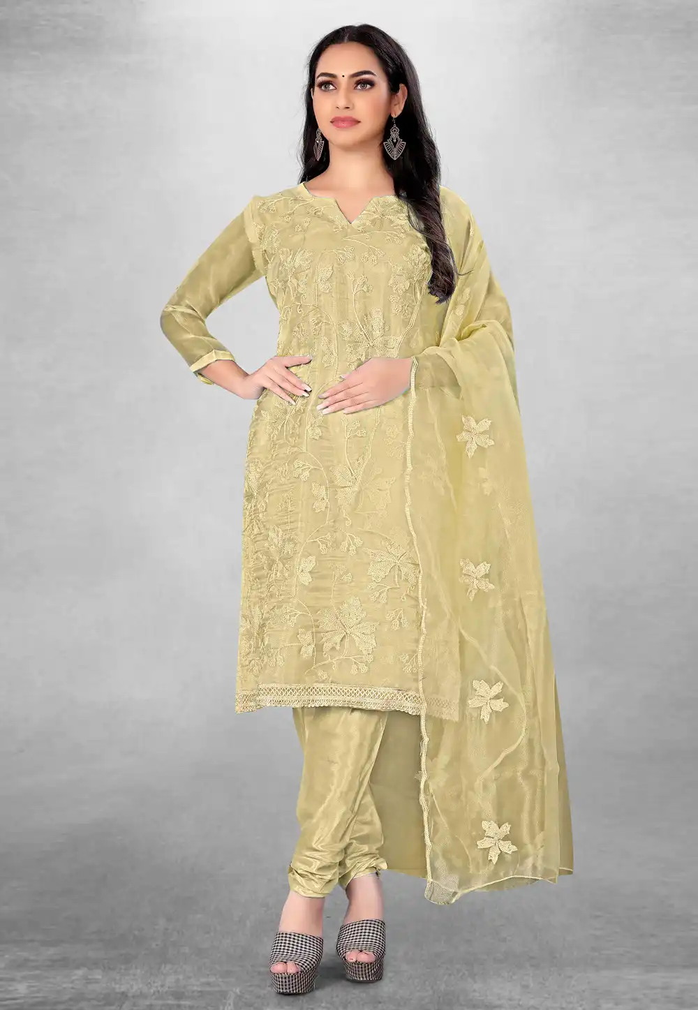 Beige Organza Churidar Suit 279280