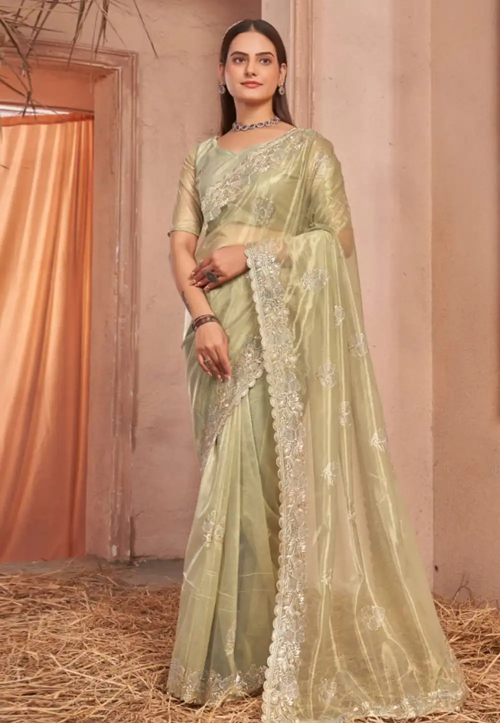 Beige Shimmer Net Saree With Blouse 314817