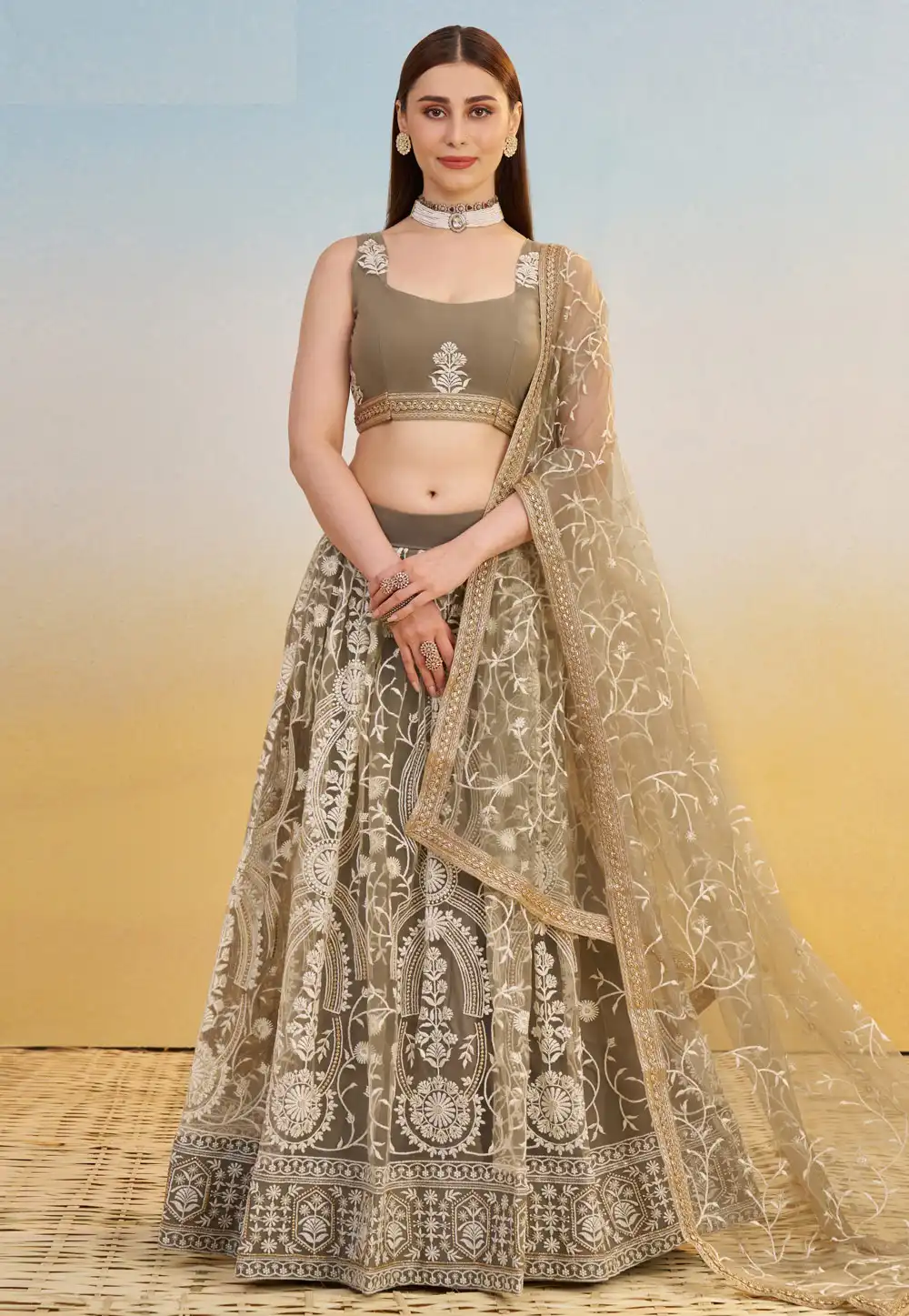Brown Net Circular Lehenga Choli 313017