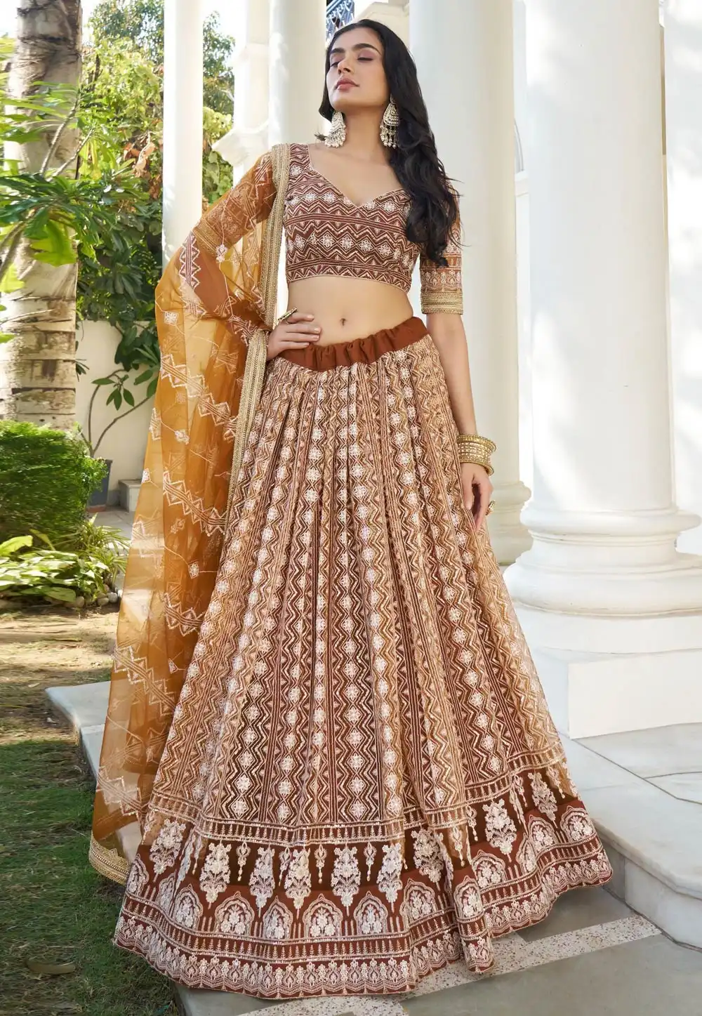 Brown Net Circular Lehenga Choli 329191