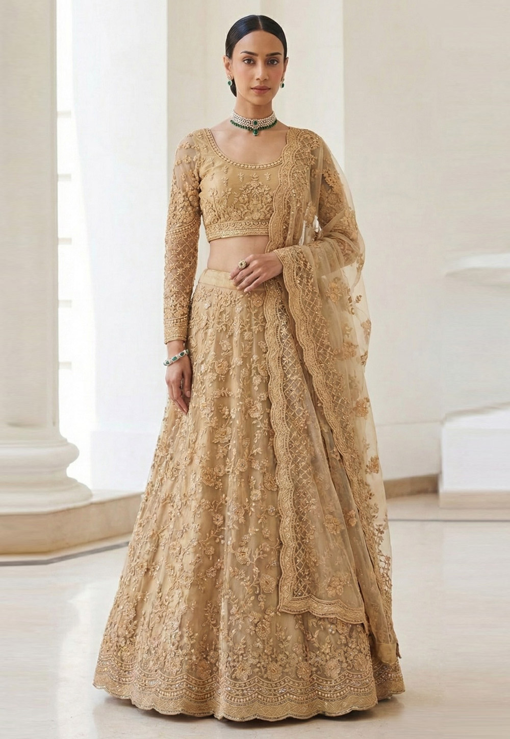 Fawn Net Lehenga Choli 322070