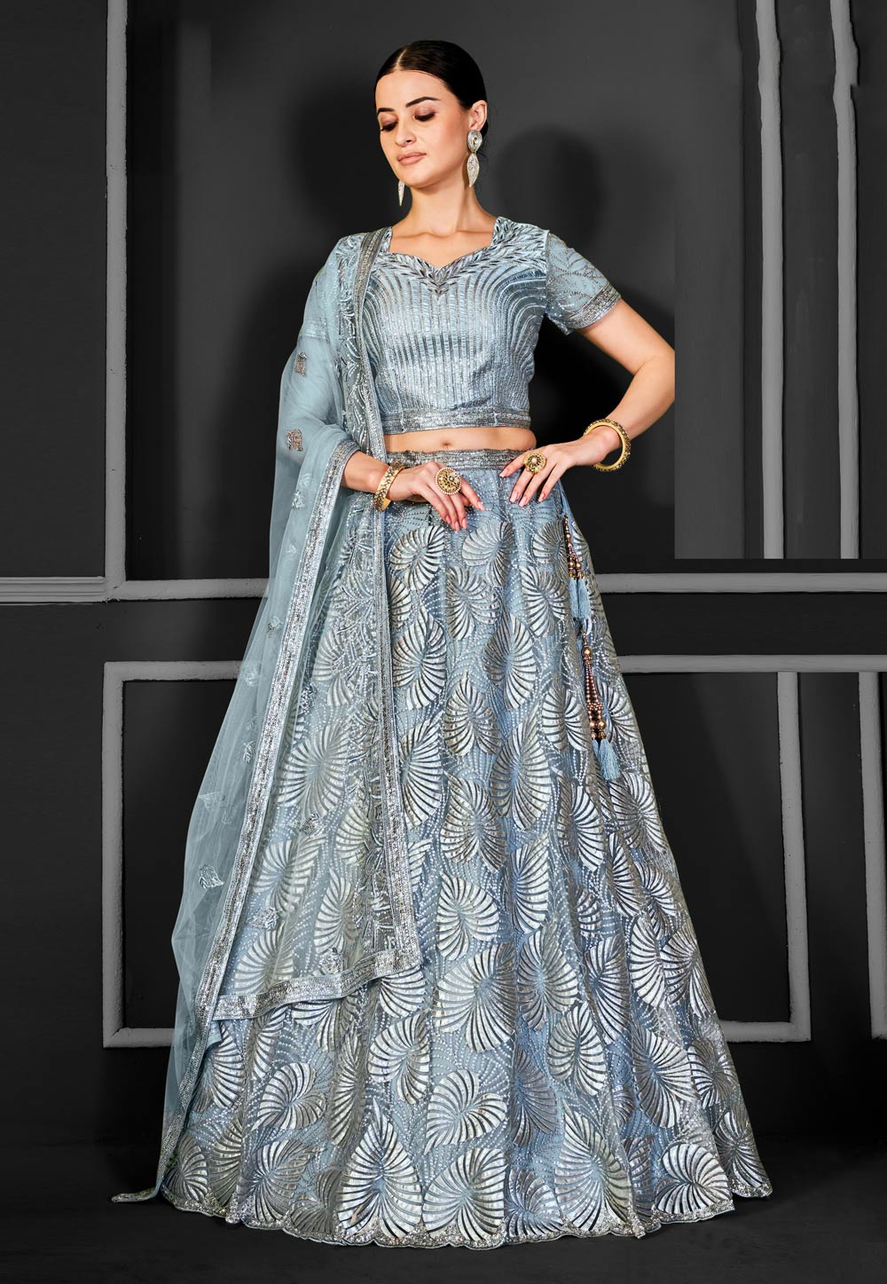 Grey Net A Line Lehenga Choli 310227
