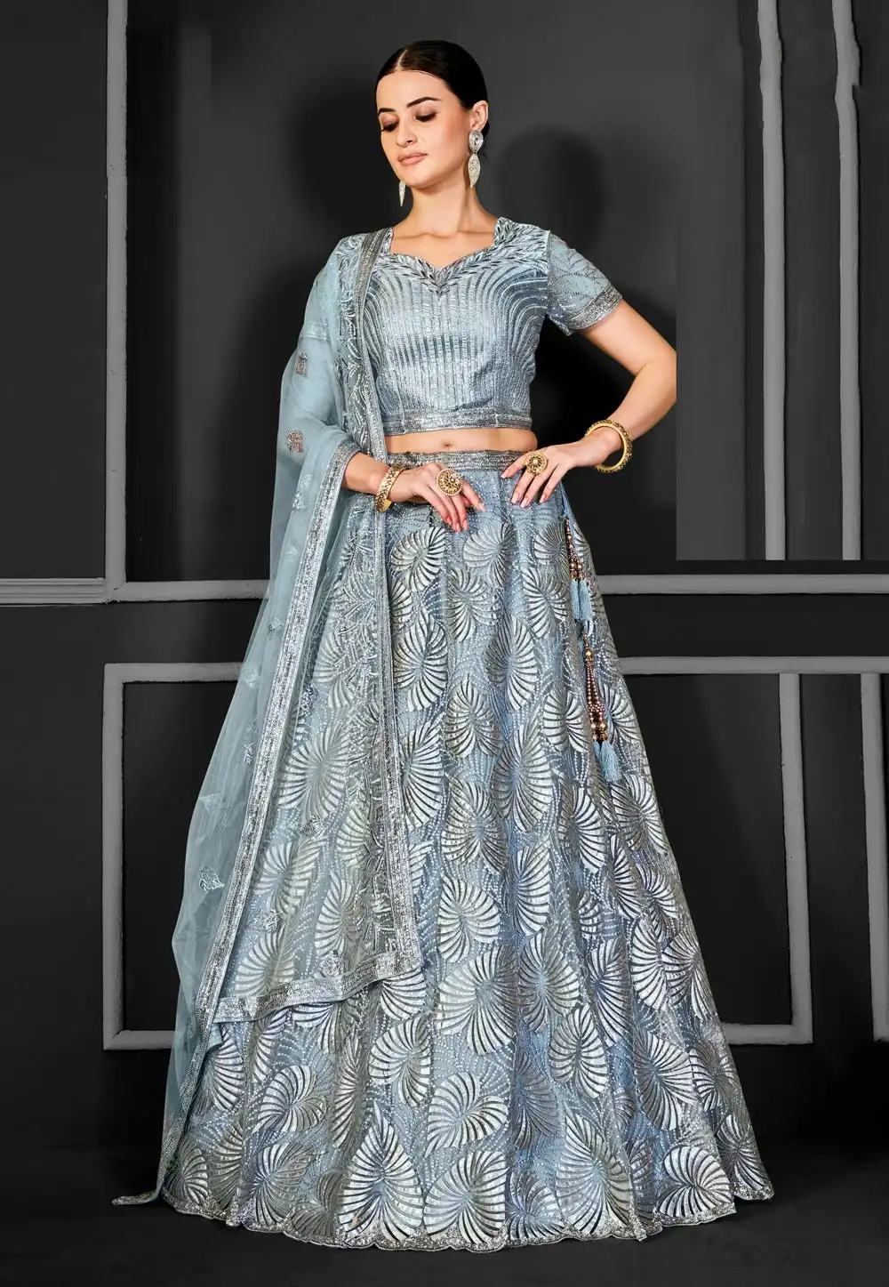Grey Net A Line Lehenga Choli 310227