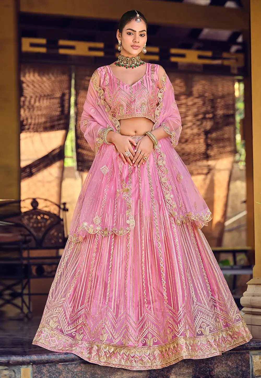 Pink Net Circular Lehenga Choli 318840
