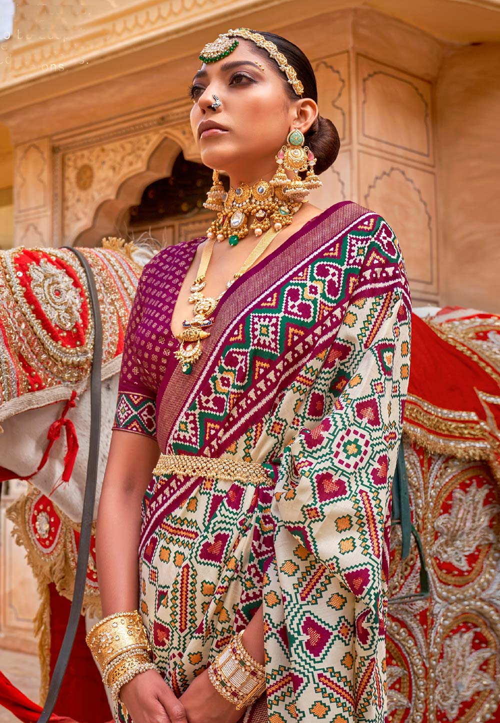 Patola Saree With Banarasi Border N Designer Embroidered Blouse –  TheDesignerSaree