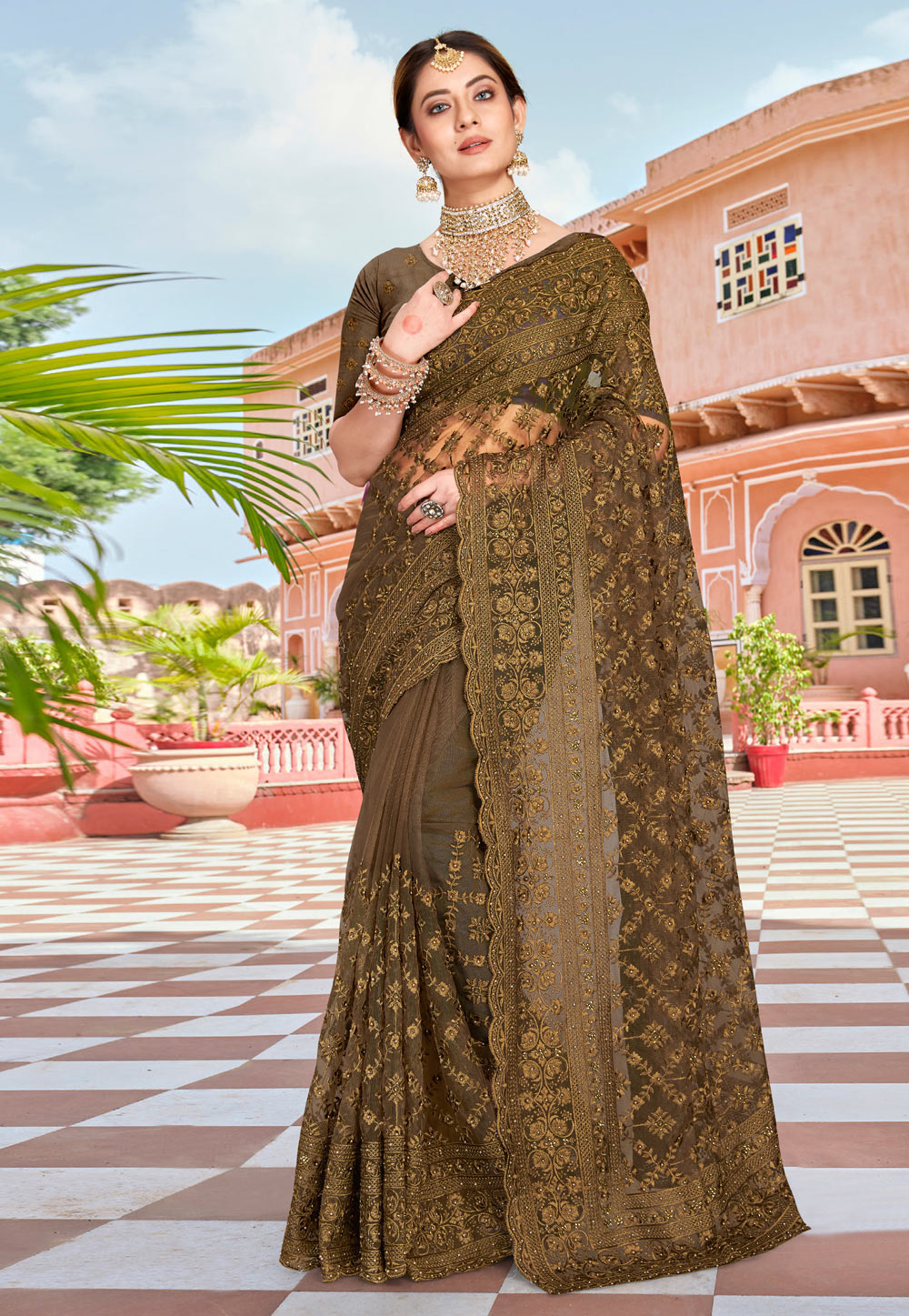 Brown Net Saree With Blouse 250350