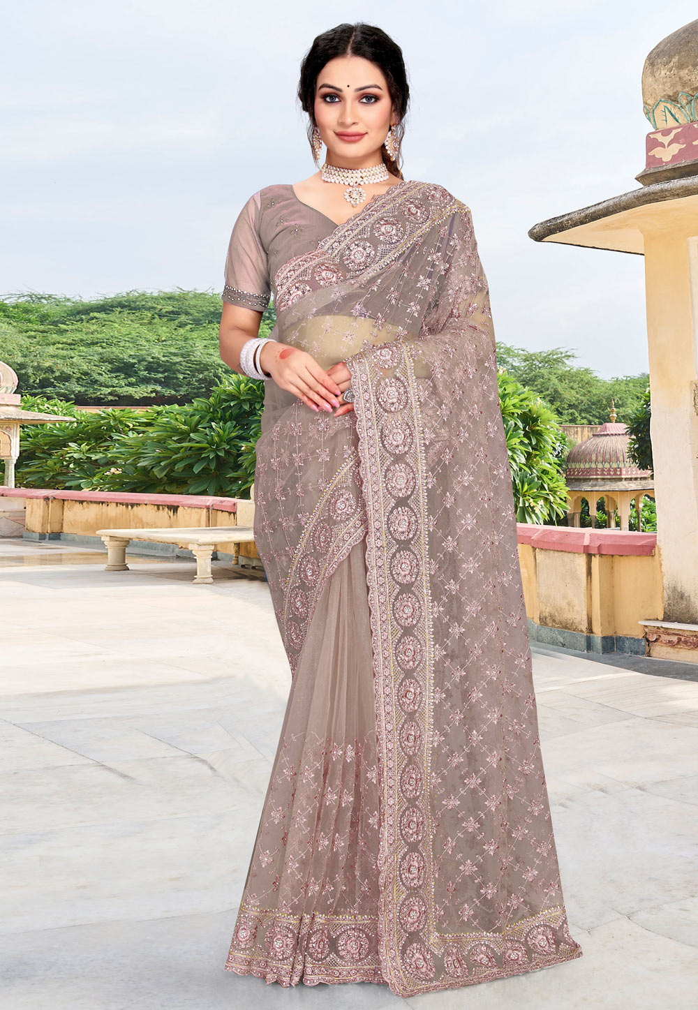 Brown Net Saree With Blouse 256933