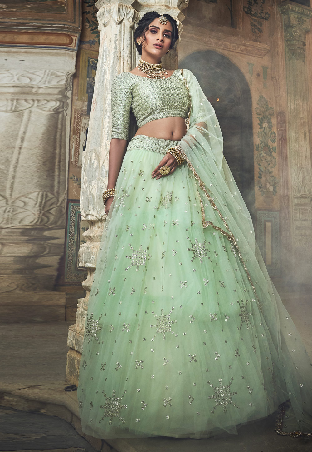 Light Green Net Circular Lehenga Choli 197126