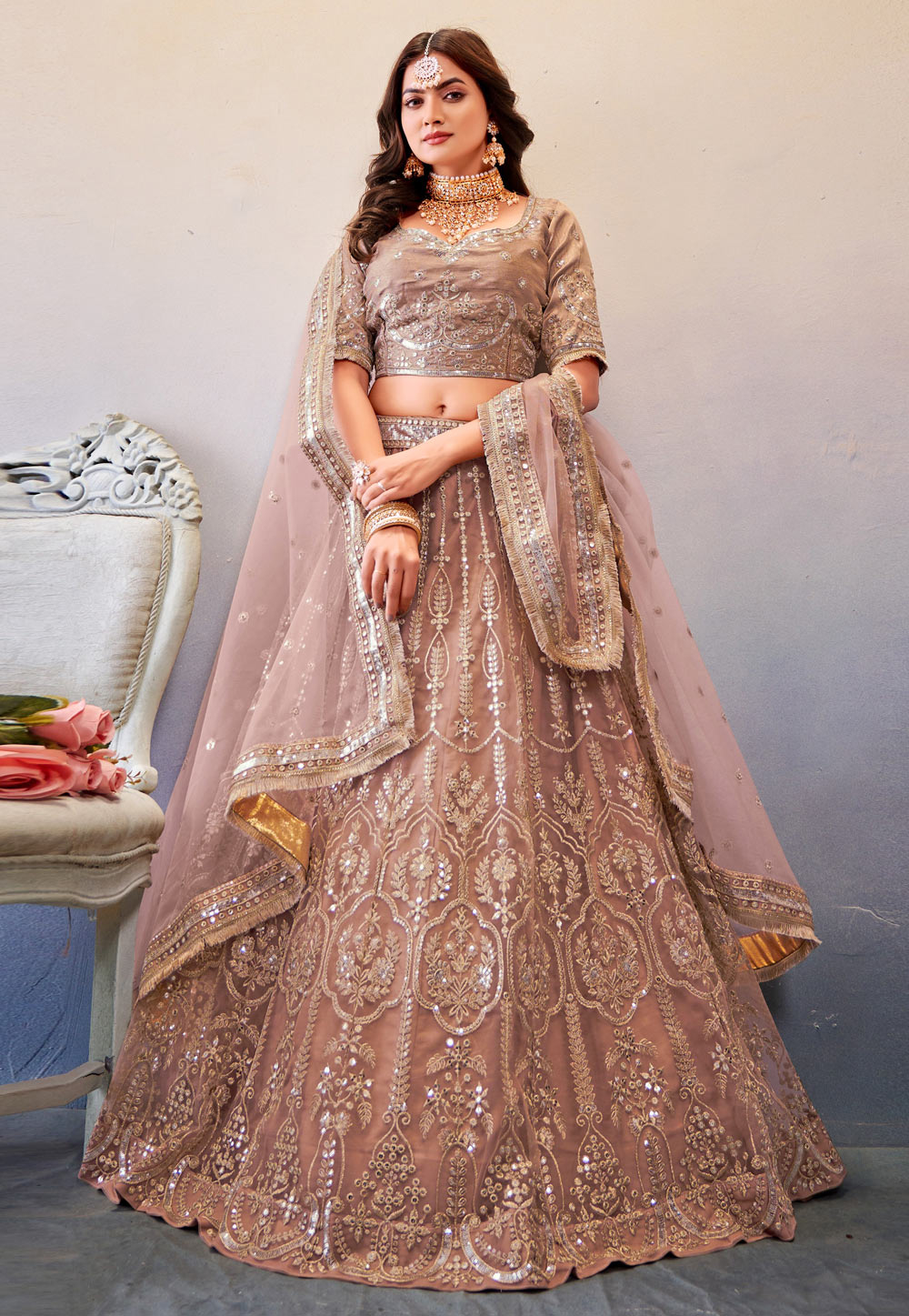 Brown Net Circular Lehenga Choli 259816