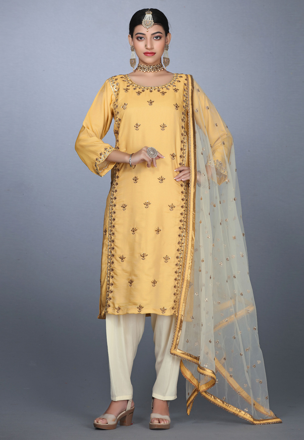 Beige Embroidered Punjabi Suit Set In Net 4776SL04
