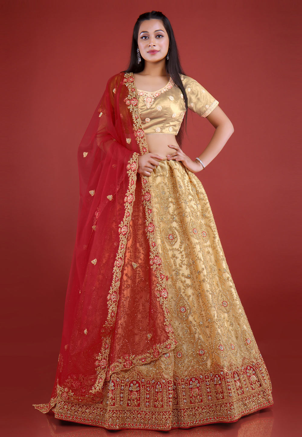 Beige Net Circular Lehenga Choli 271802