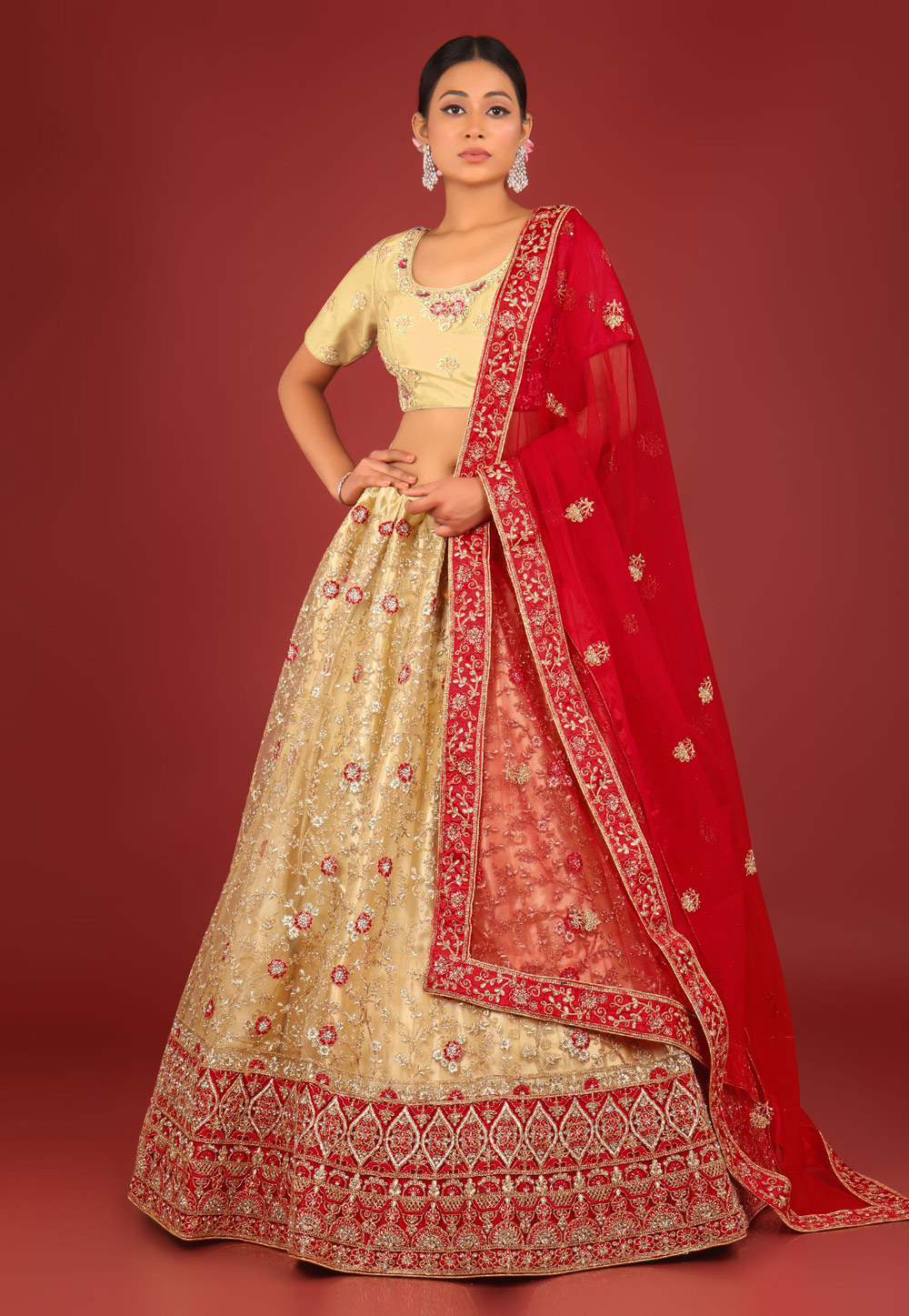 Beige Net A Line Lehenga Choli 273760