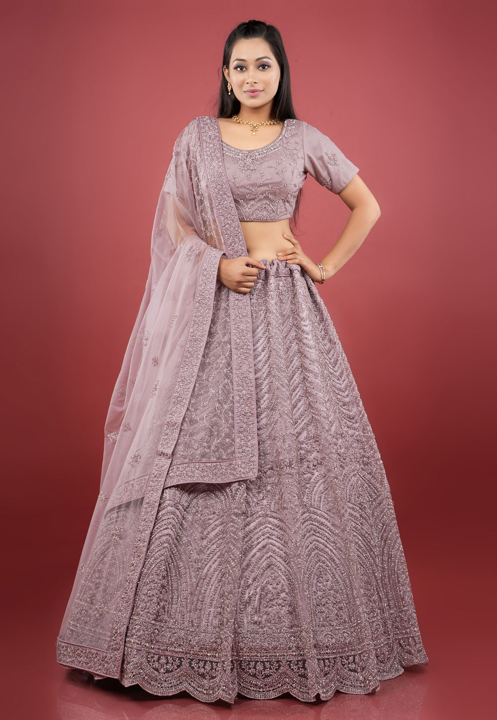 Light Purple Net Circular Lehenga Choli 271821