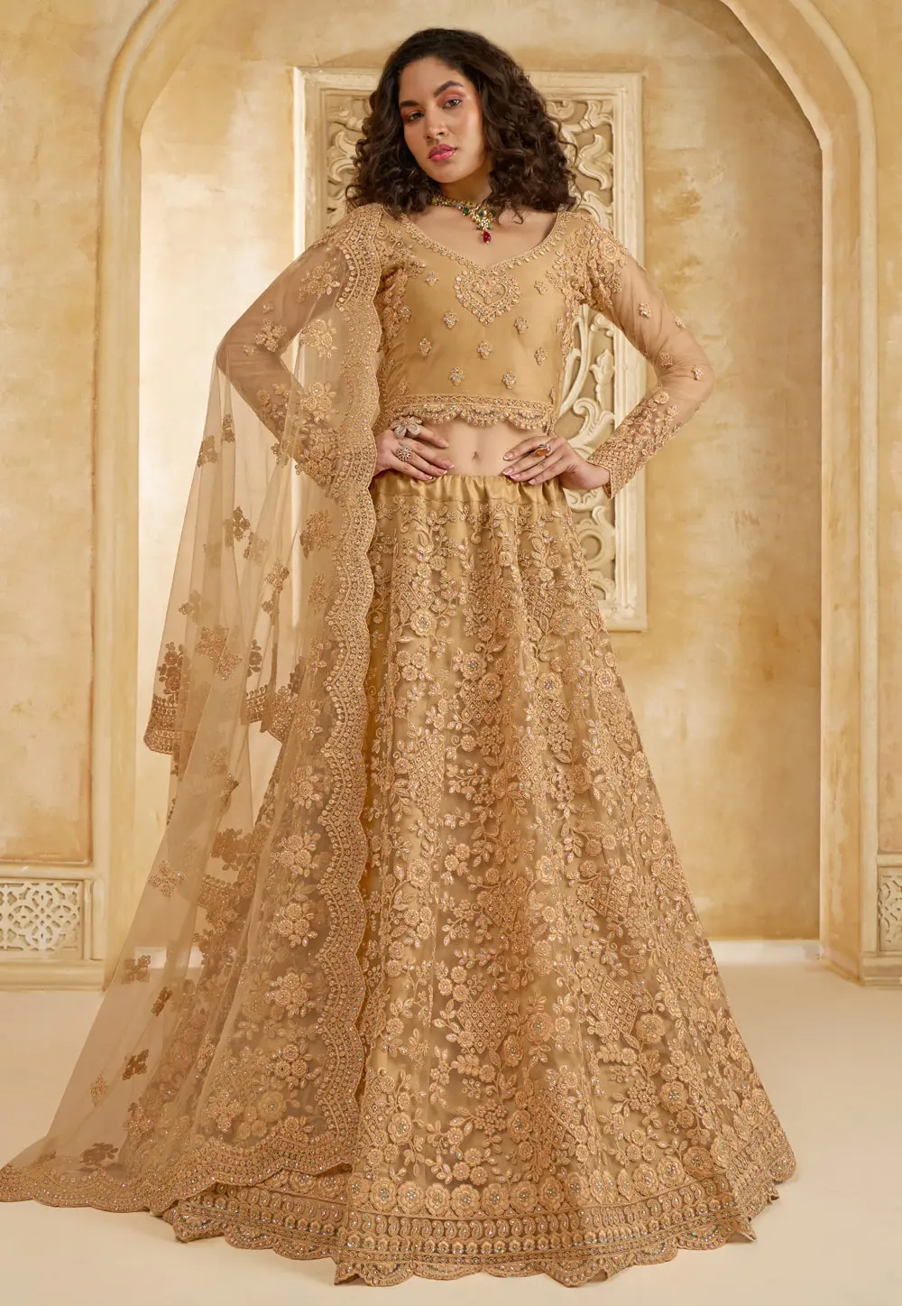 Brown Net Circular Lehenga Choli 298539