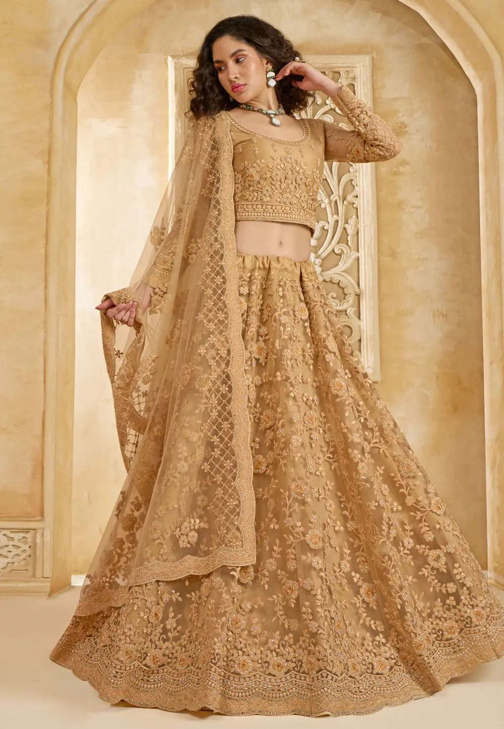 Brown Net Circular Lehenga Choli 298547