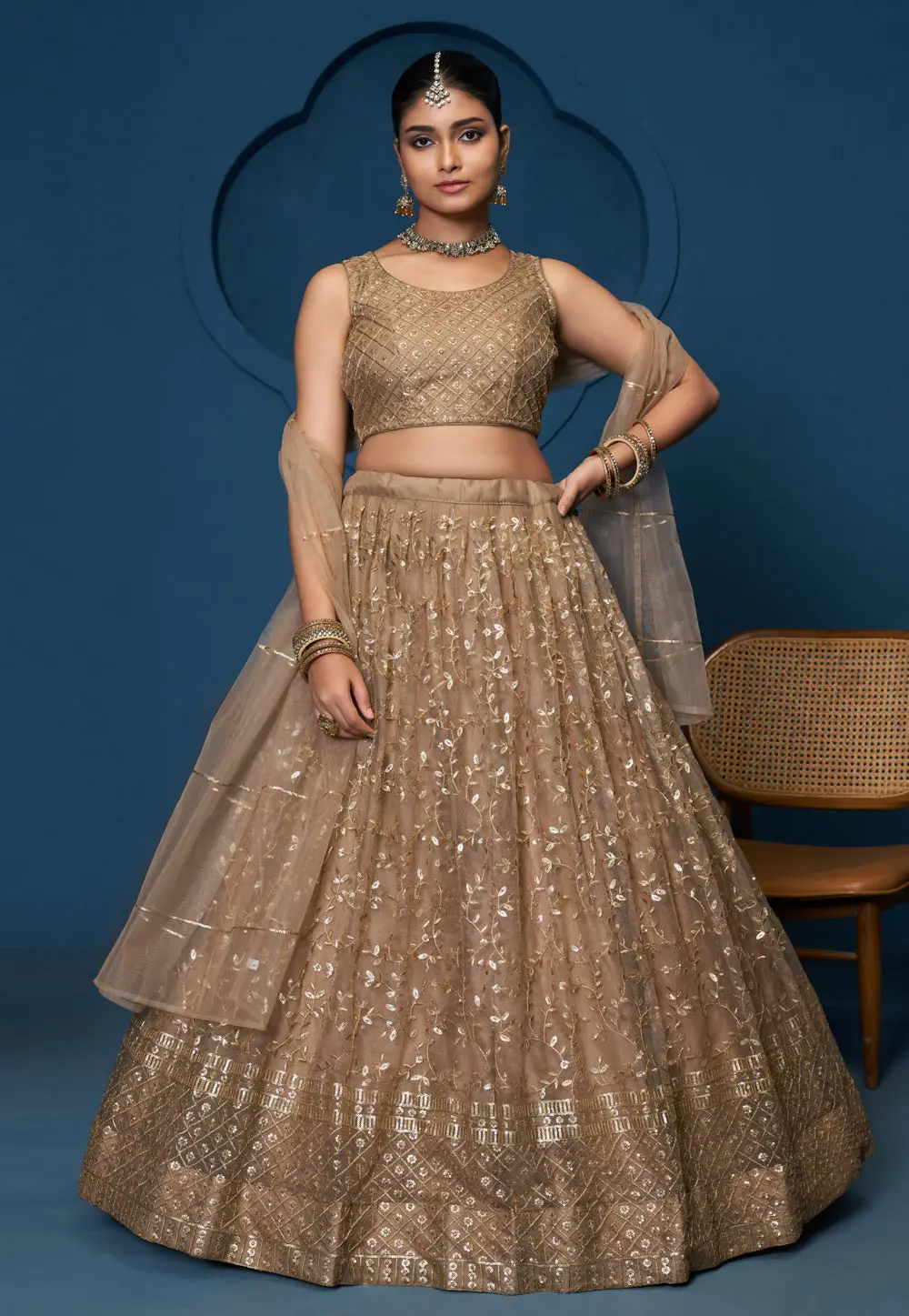 Brown Net Circular Lehenga Choli 296460