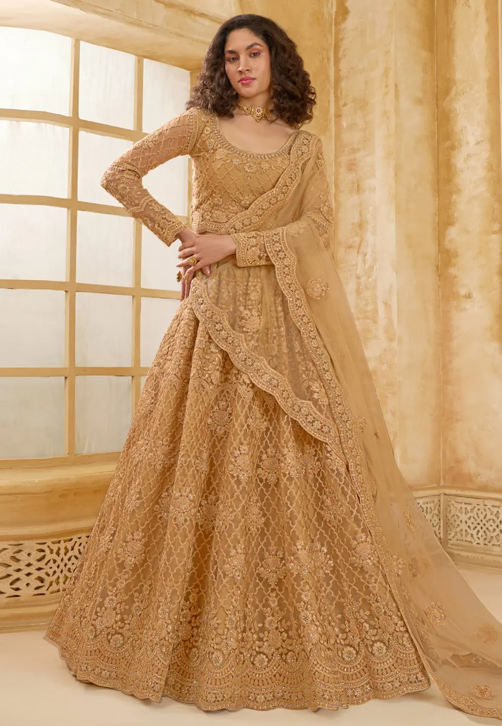 Brown Net Lehenga Choli 298543