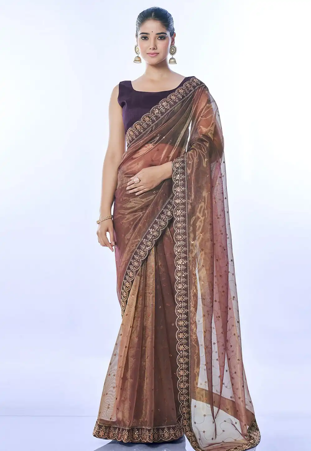 Brown Net Saree With Blouse 291496