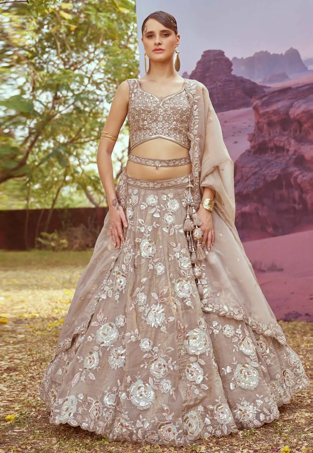 Brown Organza Circular Lehenga Choli 299134