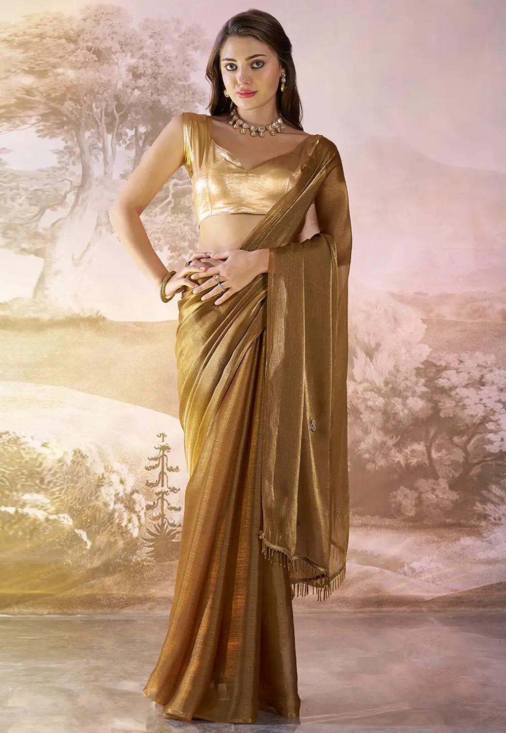 Brown Organza Saree With Blouse 304528