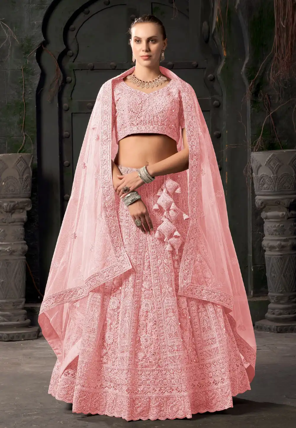 Pink Net Circular Lehenga Choli 293877