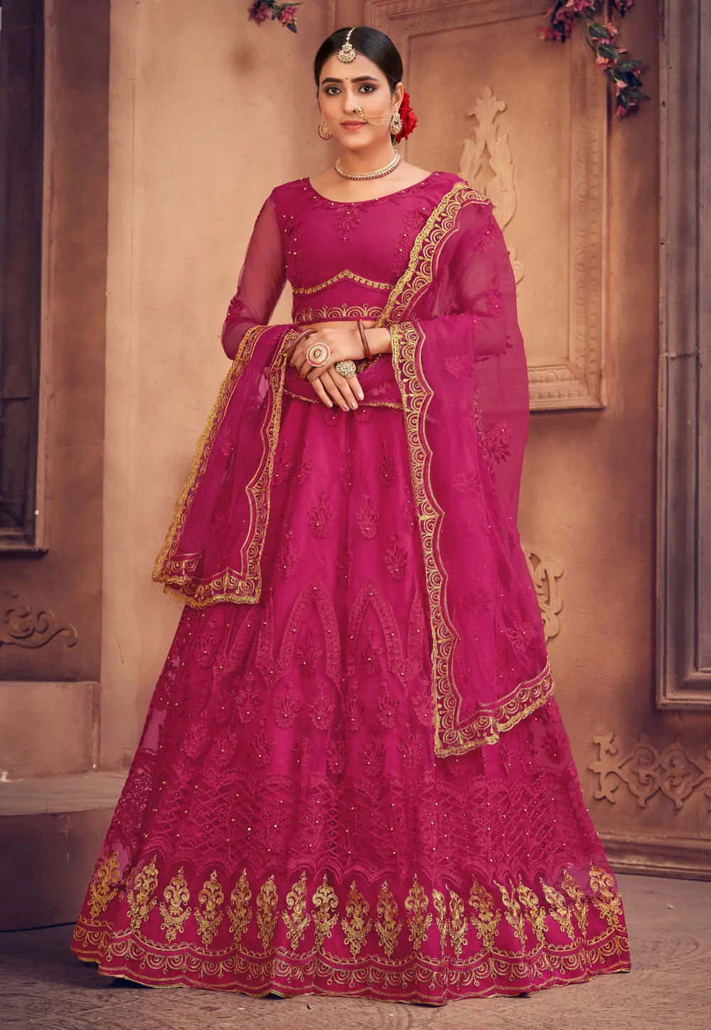 Pink Net Circular Lehenga Choli 303533