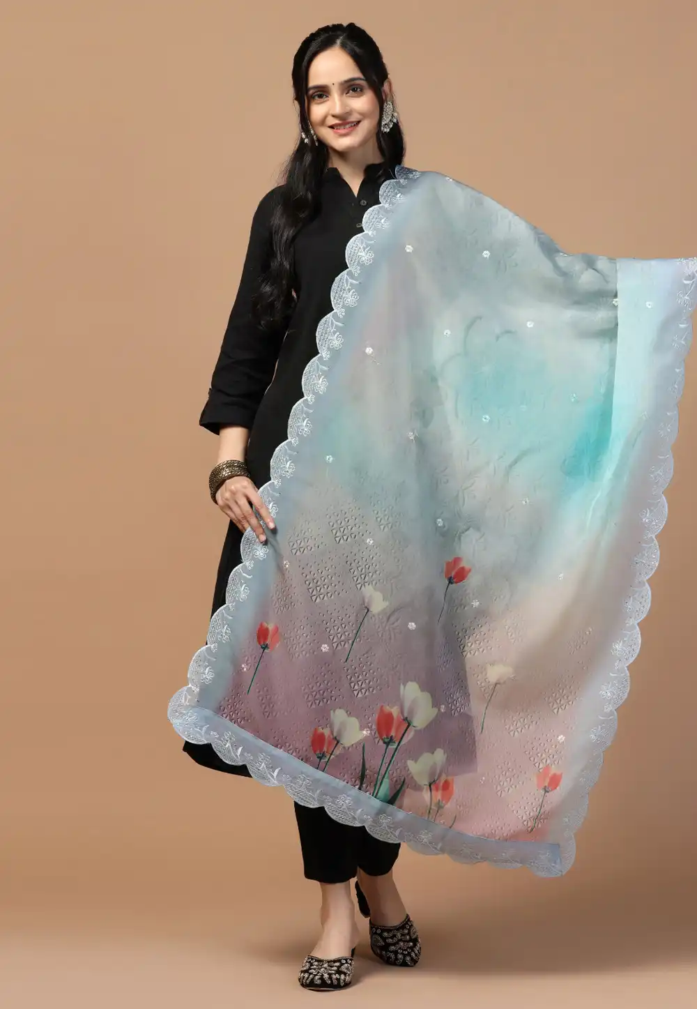 Sky Blue Organza Dupatta 291723