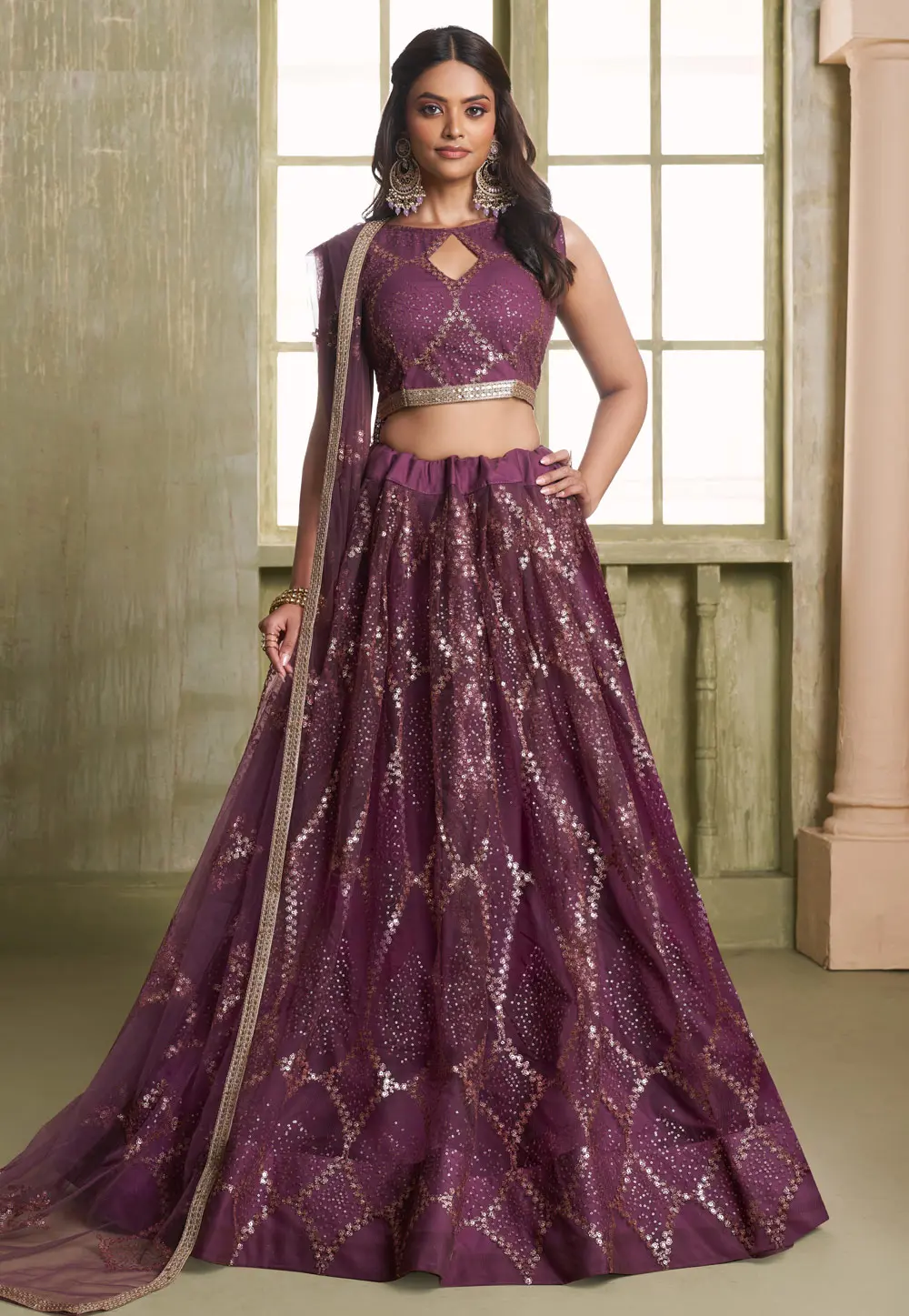 Wine Net Circular Lehenga Choli 303249