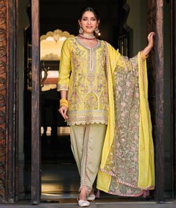 Brocade Designer Punjabi Suit at Rs 200 in Bugrasi | ID: 17681372055-gemektower.com.vn