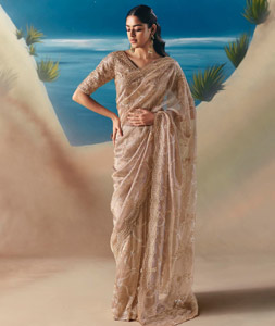 Peach Organza Saree With Blouse 318473